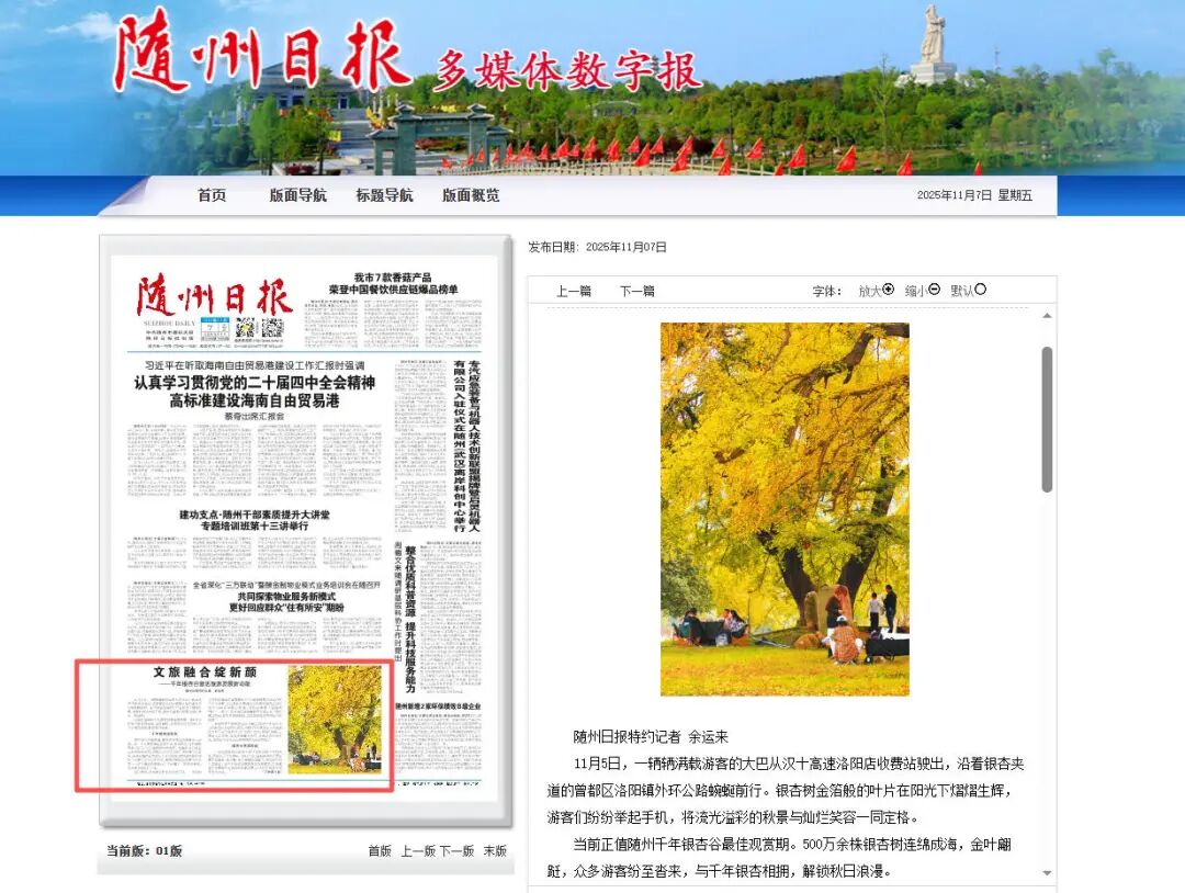 文旅融合绽新颜 | 千年银杏谷激活旅游发展新动能