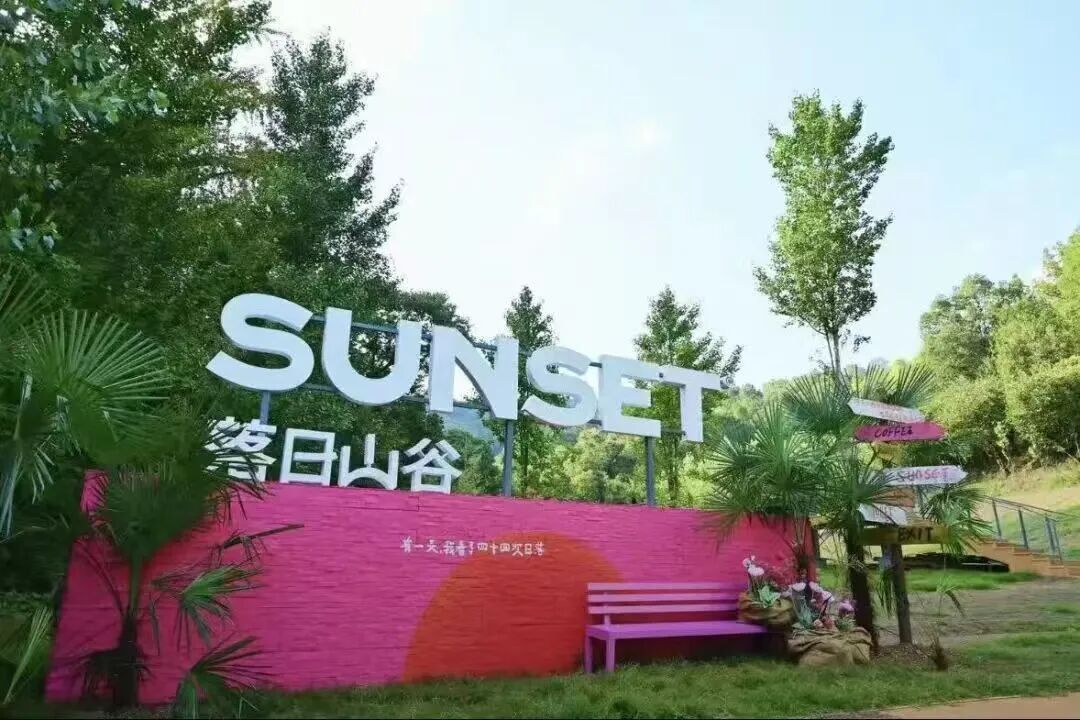 文旅融合绽新颜 | 千年银杏谷激活旅游发展新动能