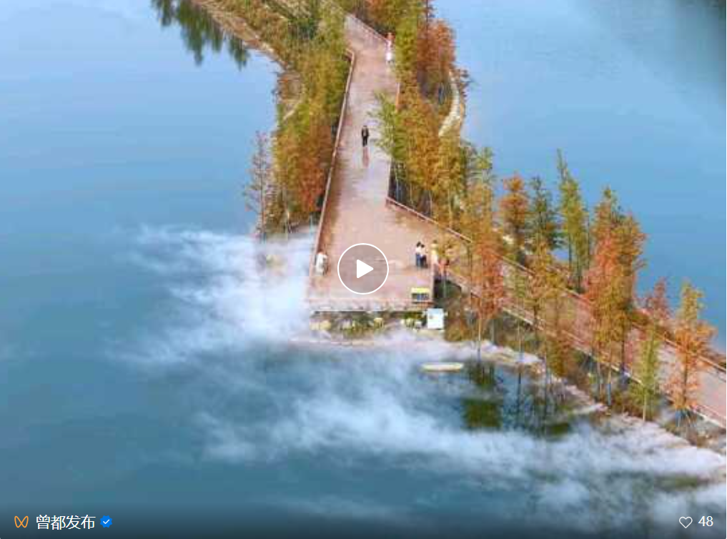 文旅融合绽新颜 | 千年银杏谷激活旅游发展新动能