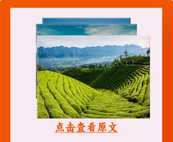 评论丨注入“清醒剂” 奋斗“十五五”系列谈