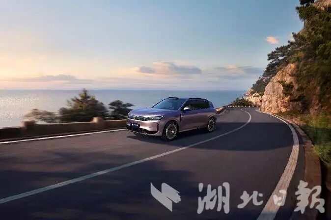 湖北造！央国企首个！