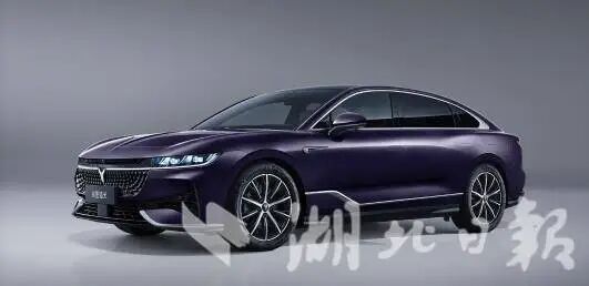 湖北造！央国企首个！