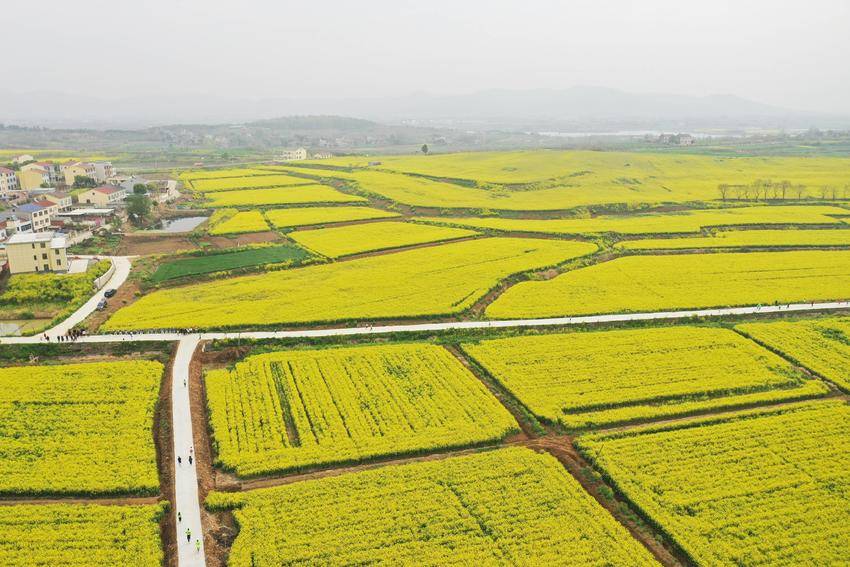 从“零散田”到“聚宝盆”——襄城探索适度规模经营新路径