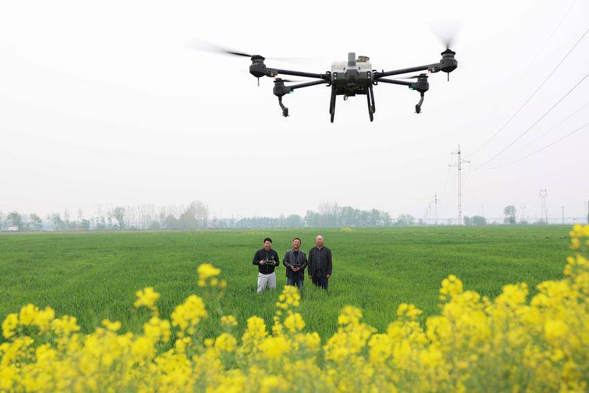 从“零散田”到“聚宝盆”——襄城探索适度规模经营新路径