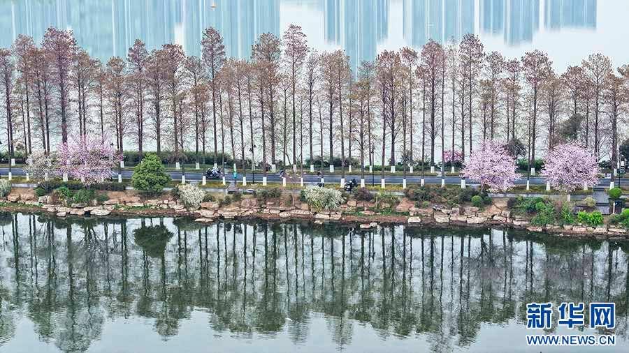 聚焦高质量发展｜武汉：“体育 +”赋能产业融合 激活高质量发展新引擎