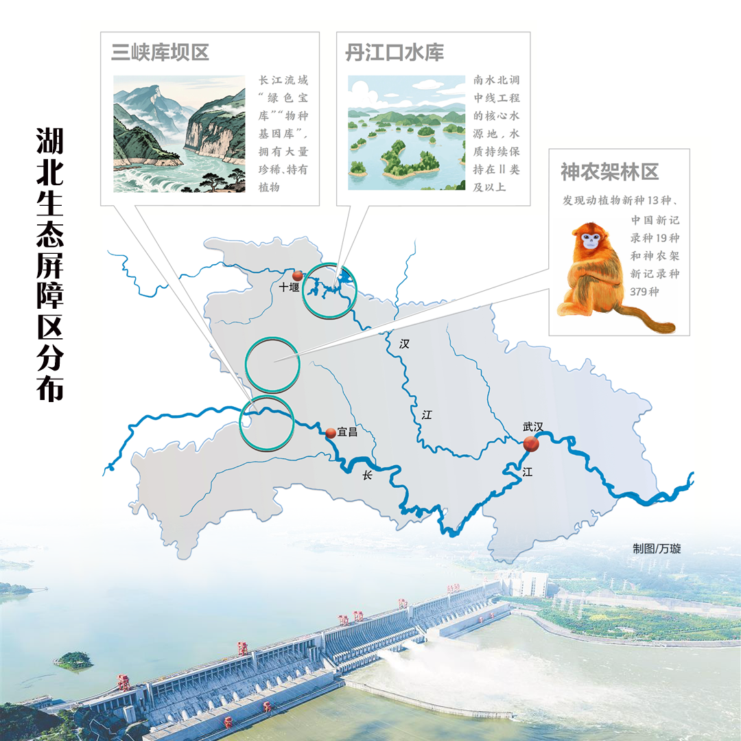 建支点、走在前，“十五五”规划建议这些信号要读懂