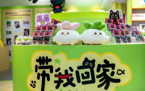 蒜鸟+动物保护，“带我回家”快闪店亮相江城