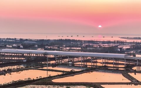 双柳长江大桥装上护鸟静音罩 桥无车马喧 飞鸟相与还