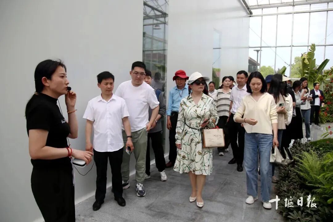 解锁新闻奖秘籍、短视频玩法……十堰人速来参加!