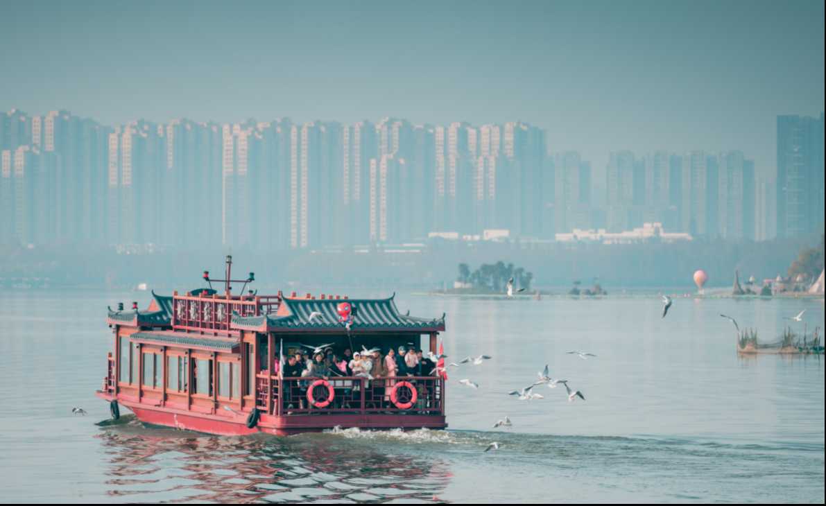 “鸥”来啦！看游船破浪间，红嘴鸥翩跹共舞