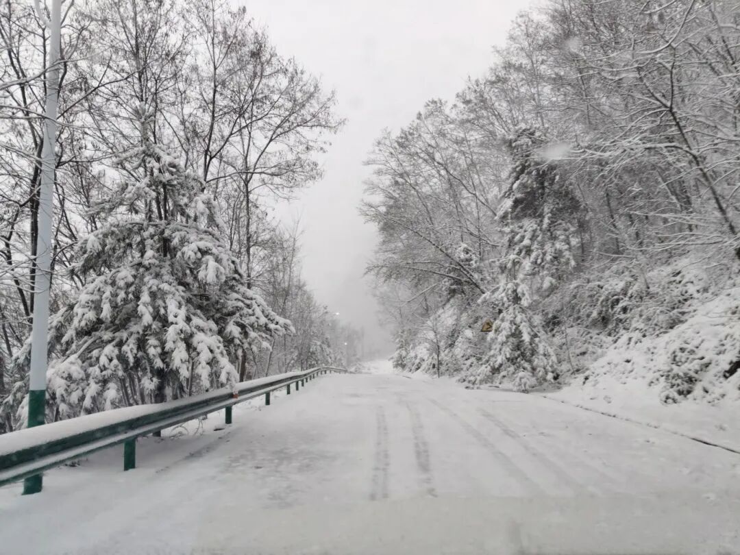 十堰多地下雪!这里积雪超10cm!未来几天......
