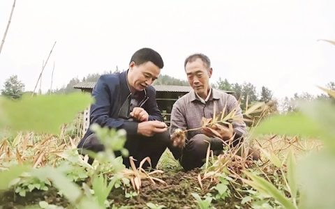 一人一摩托骑行18万公里 从青丝到白发坚守33年 “跑腿干部”易盛荣荣登“中国好人榜”