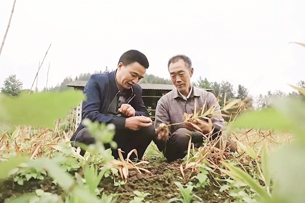 一人一摩托骑行18万公里 从青丝到白发坚守33年 “跑腿干部”易盛荣荣登“中国好人榜”