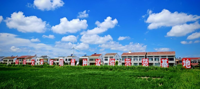 种业筑基稳粮安 一体化模式惠农户