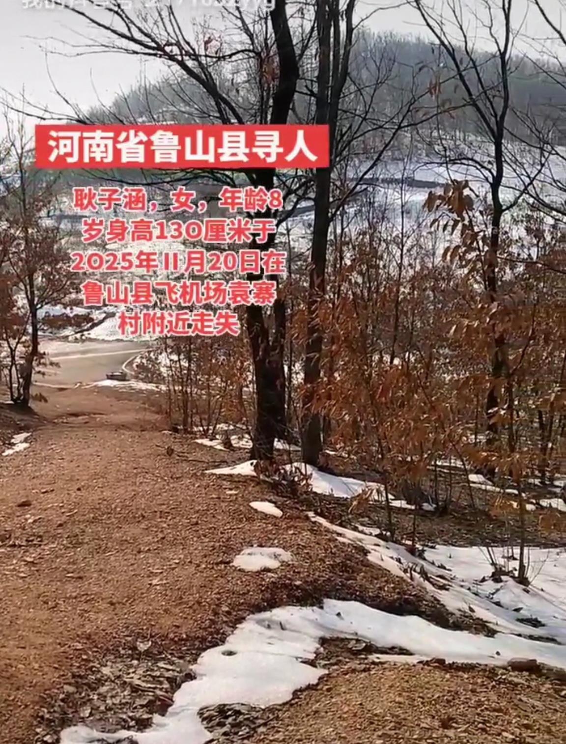 河南鲁山8岁女童随奶奶上坟途中走失3天，当地出动搜救犬，方圆10公里搜寻未果，家属：孩子不会说话，奶奶很自责