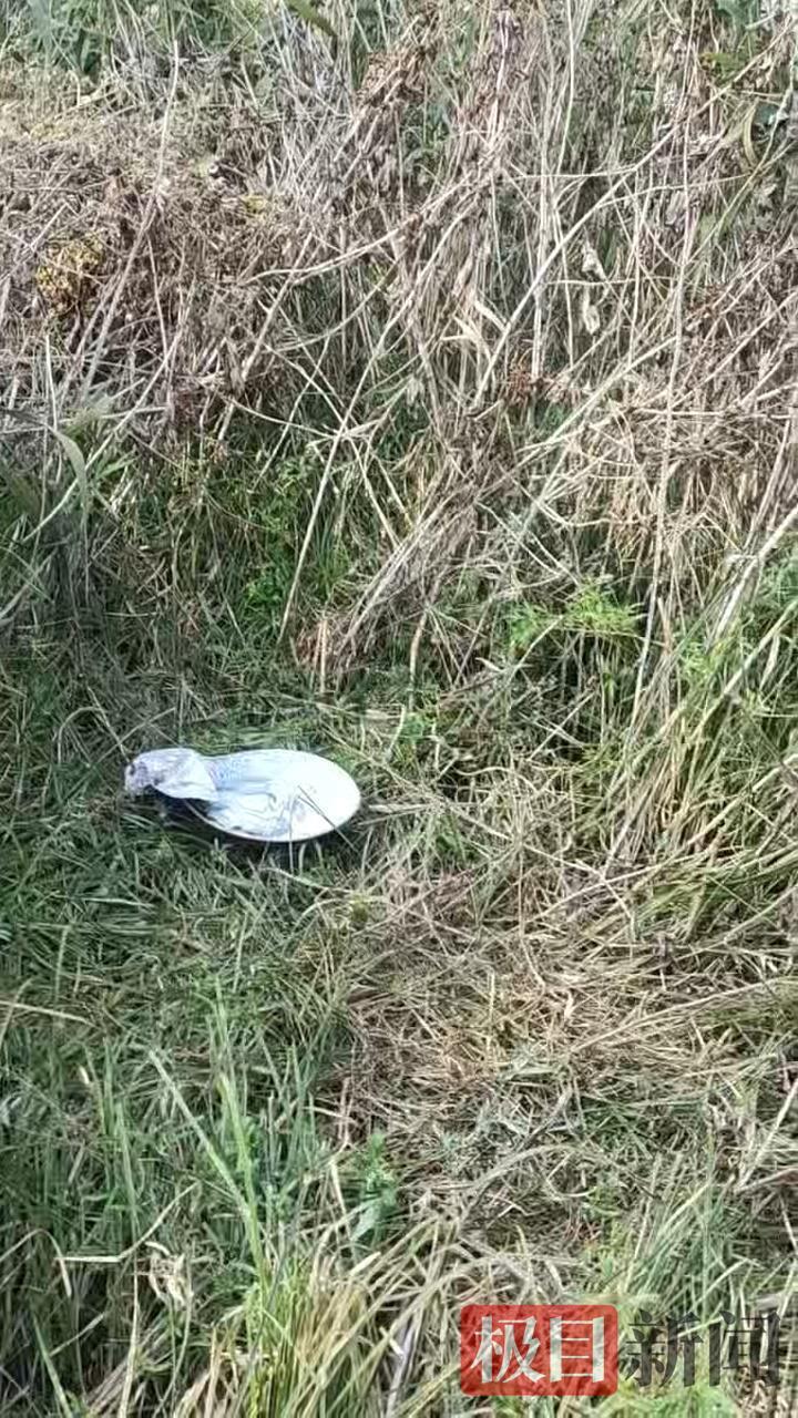 黄石69岁太婆迷路，在荒野度过7天6夜，被找到时奄奄一息，经抢救目前生命体征平稳