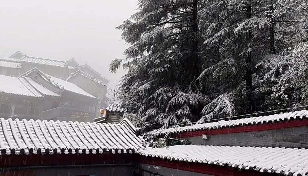 十堰多地下雪!这里积雪超10cm!未来几天......