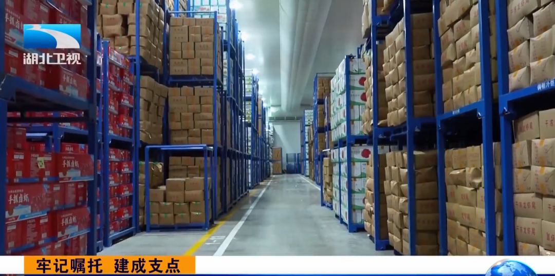 总投资约10亿元！《湖北卫视》聚焦荆州这一项目