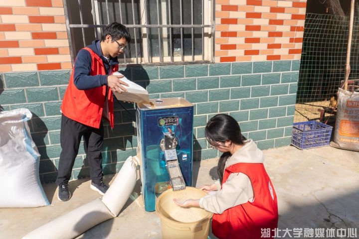 躬耕稻香育新人：湖北大学生科院“一条龙”农事实践探索劳动育人新范式