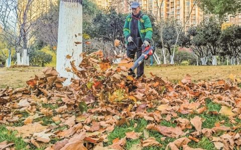 “落叶不扫”近尾声