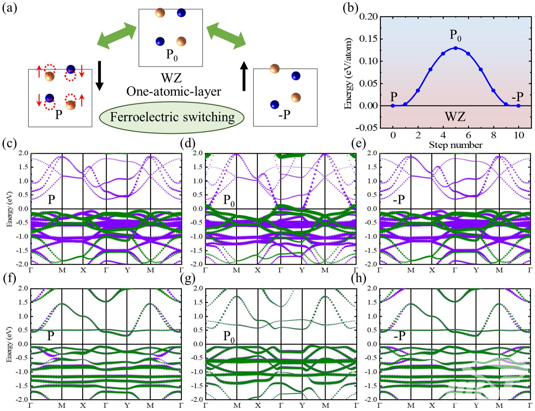 物理学院高国营课题组在交错磁多铁研究中取得重要进展