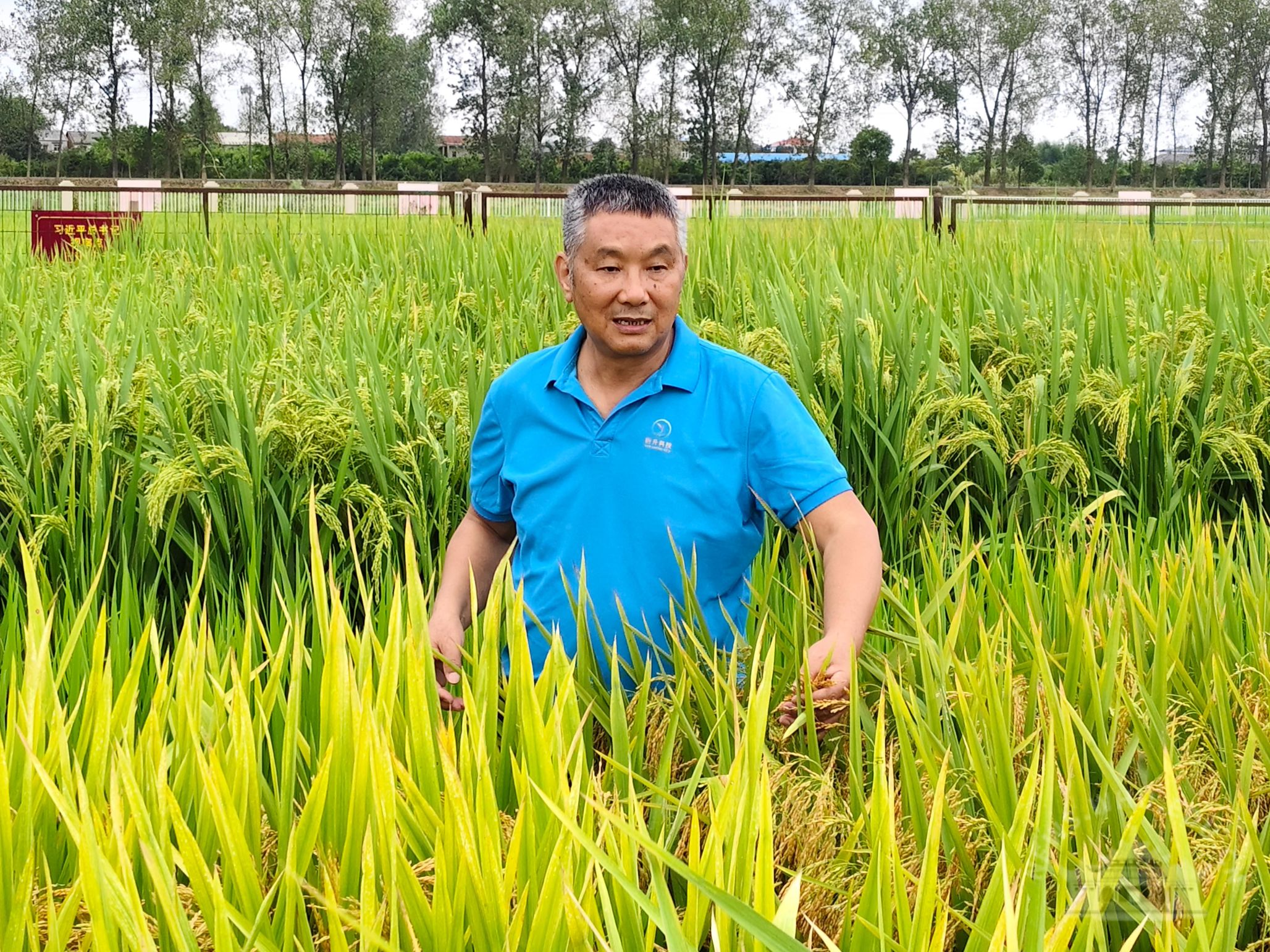 以种业初心书写报国担当，“农民教授”朱仁山荣膺2025年度“荆楚楷模”