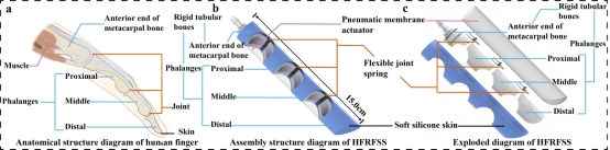 中国地质大学自动化学院赖旭芝教授团队在《Nature》子刊发表重要研究成果