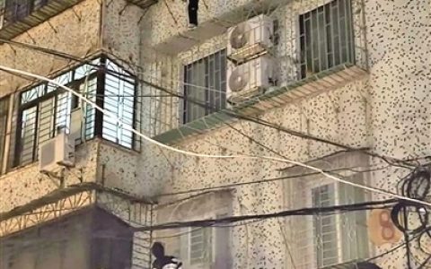 男孩卡在四楼防盗网上 白衣小伙爬窗托举助其脱险