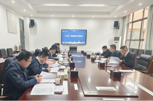 湖北理工学院召开“十五五”规划编制工作推进会