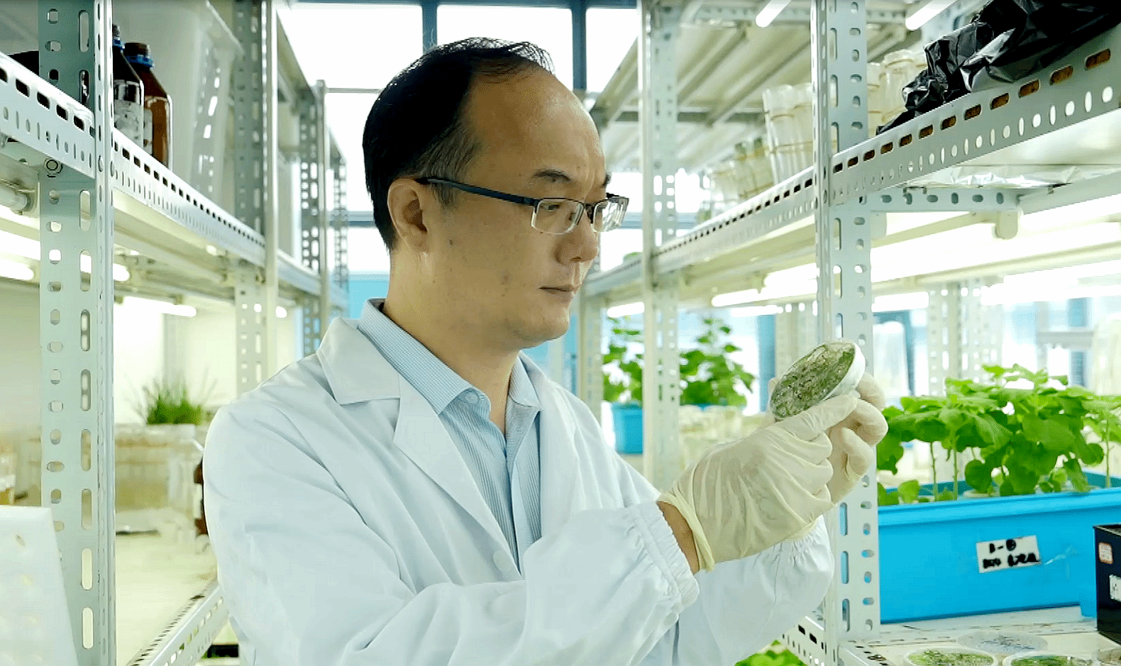 华中农业大学水稻团队李一博教授课题组研究成果入选《科学》2025年度十大突破