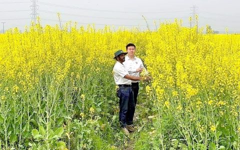 光谷“稻油使者”周旭升 他将“中国种子”播撒在亚非大陆上