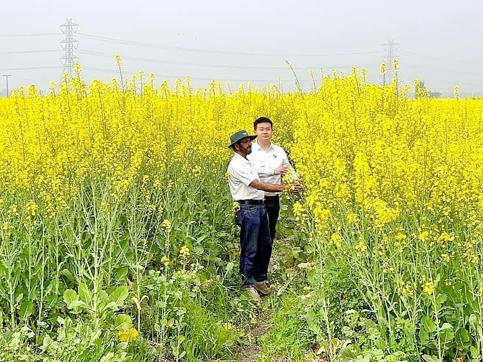 光谷“稻油使者”周旭升 他将“中国种子”播撒在亚非大陆上