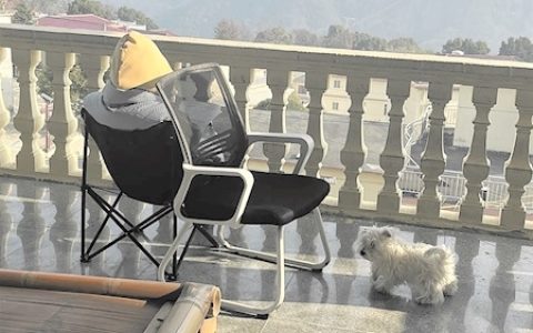 村民将民居改造成自习室 大山里有个考研村落 考生们的“世外桃源”