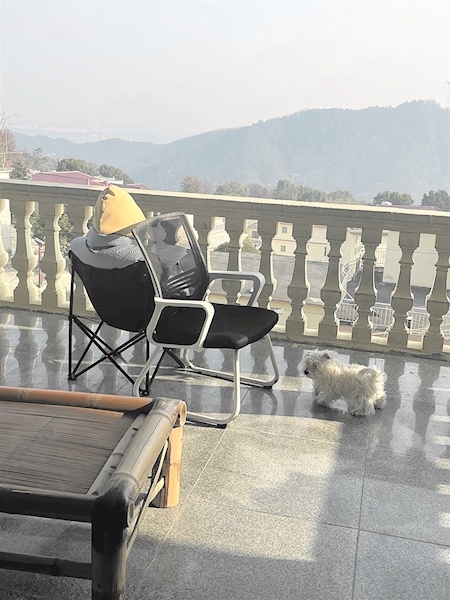 村民将民居改造成自习室 大山里有个考研村落 考生们的“世外桃源”