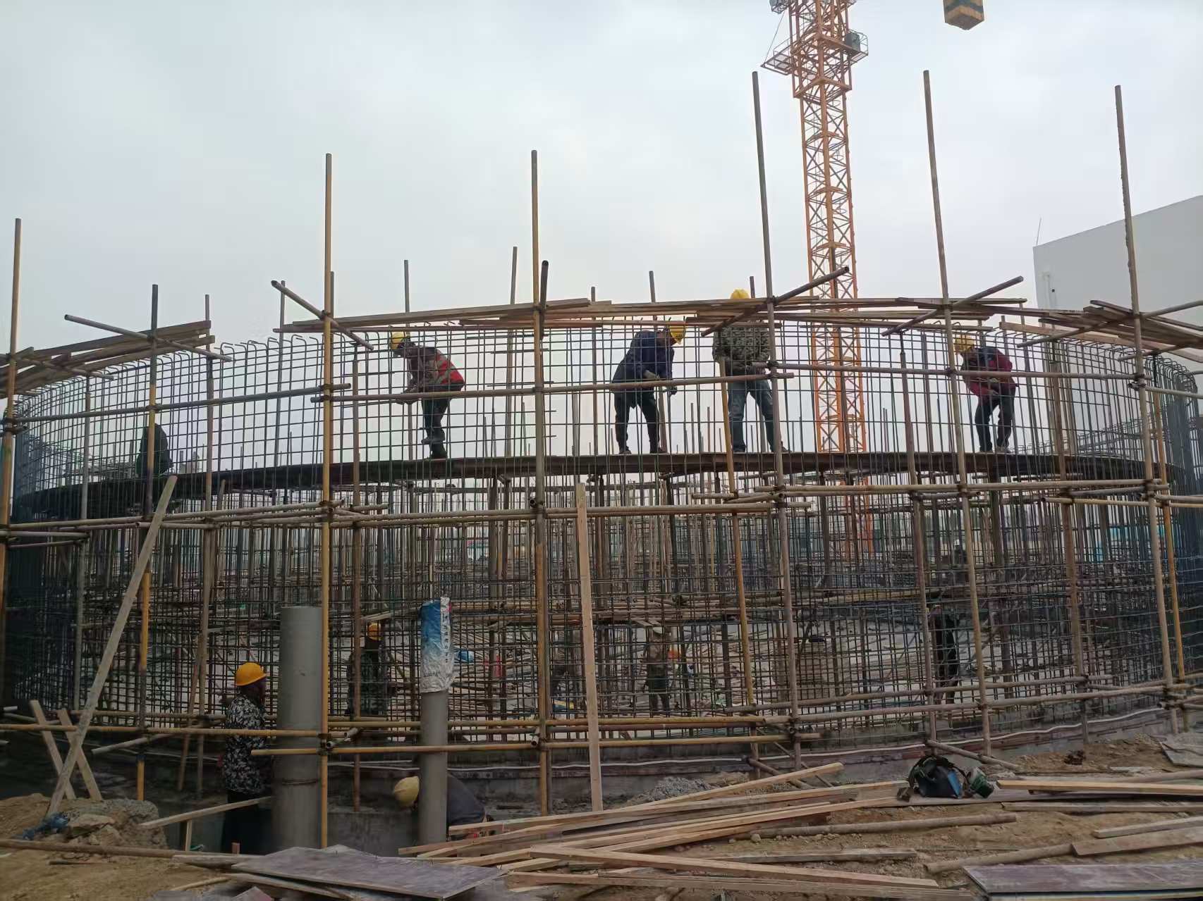 总口管理区聚力攻坚打好收官战