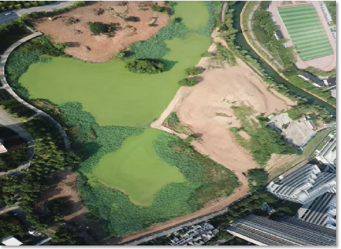 曙光养殖场土地收回工作圆满完成