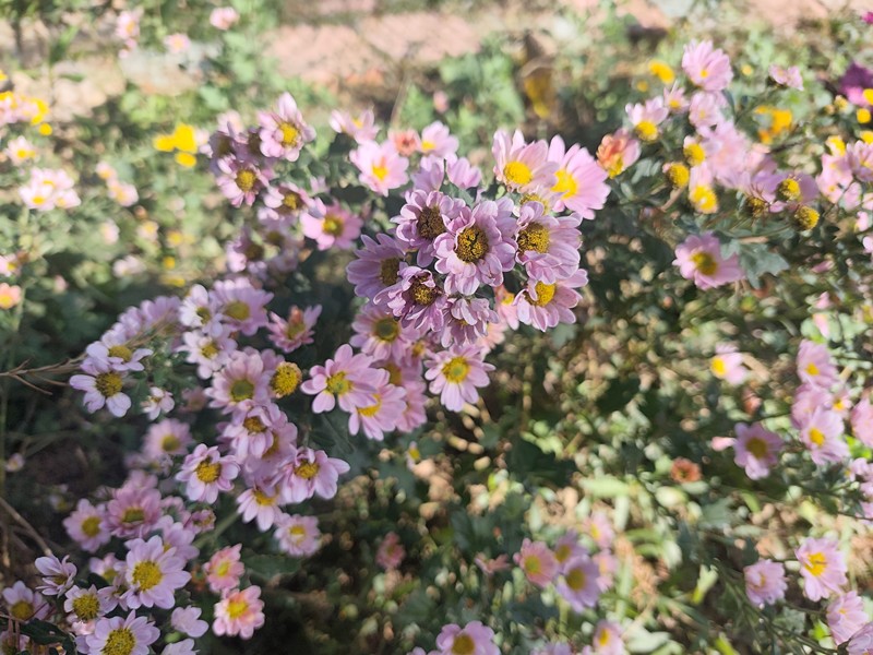 小投入撬动大变化 熊口管理区“微改造”绘就民生新图景