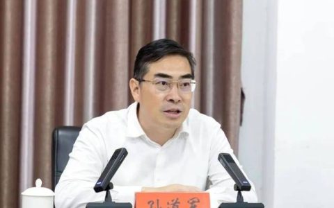 孙道军专题研究招商引资工作