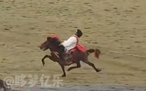 “马经济”跑起来