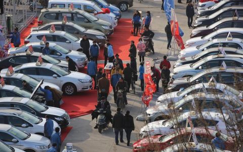 路口镇集中看车活动激发消费新活力