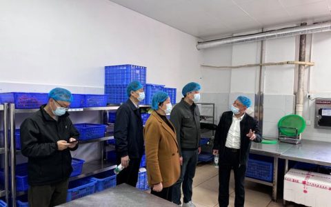 咸安汀泗桥镇“两代表一委员” 开展校园食堂安全督导