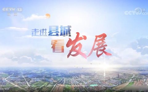 强基砺兵聚智 通城以高质量组织工作服务县域高质量发展