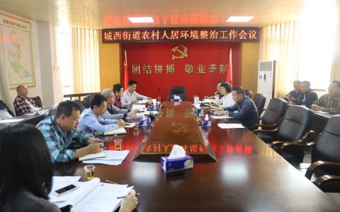 孙道军到部分镇（街道）宣讲党的二十届四中全会精神并调研人居环境提优工作