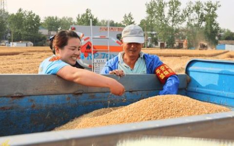 “三沟”畅通保丰收