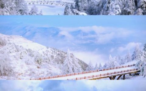 北雪南移，不只是地理的跨越——从早鸟票预售看宜昌冰雪经济