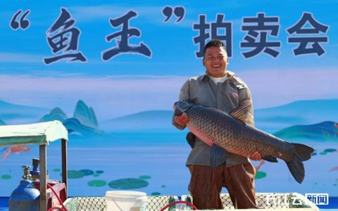 黄州区农民丰收季活动