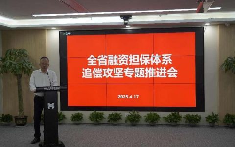 市融资担保集团强力推进代偿追偿工作