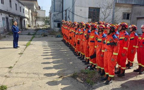 嘉鱼陆溪镇：下沉一线强督办  织密森林“安全网”