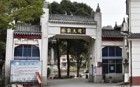 湖北团风林家大湾村： 勇当前锋的精神依然滋养这片土地