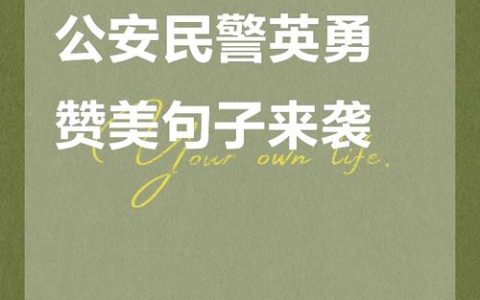 什么让公安更有魅力？每一页都写满精彩